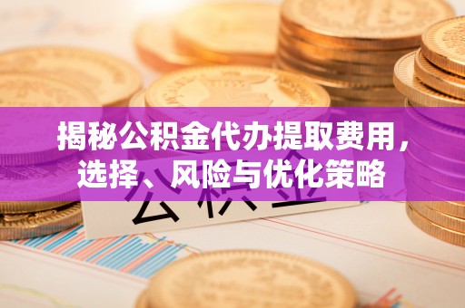 东湖揭秘公积金代办提取费用，选择、风险与优化策略