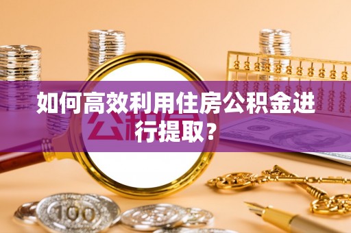 东湖如何高效利用住房公积金进行提取？