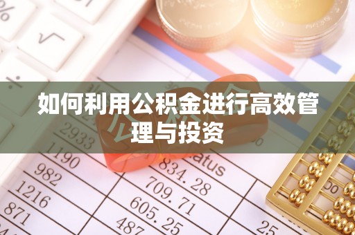 东湖如何利用公积金进行高效管理与投资