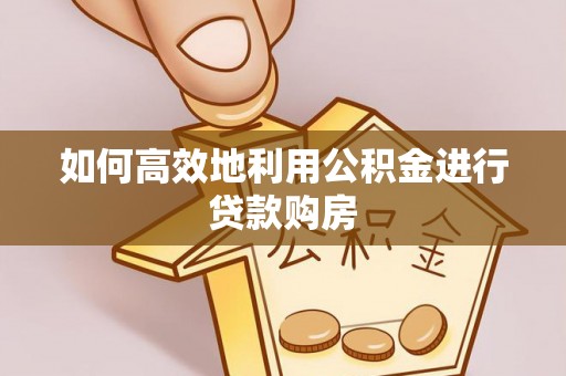 东湖如何高效地利用公积金进行贷款购房