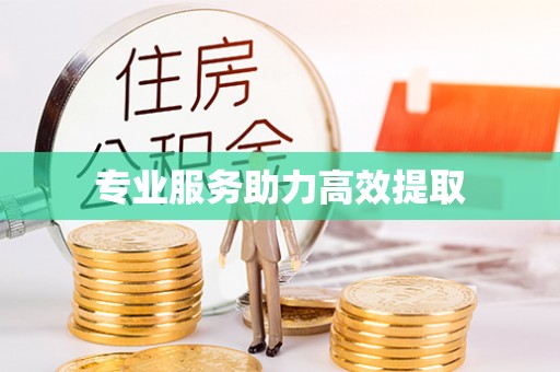 东湖专业服务助力高效提取