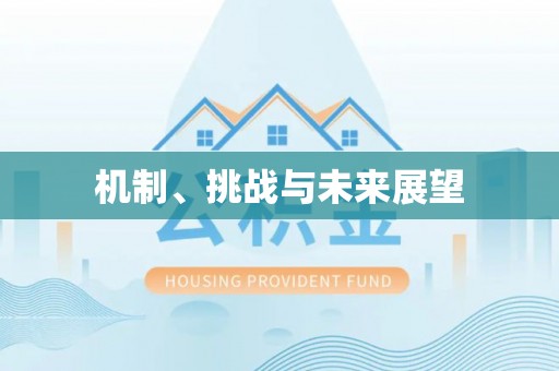 东湖机制、挑战与未来展望
