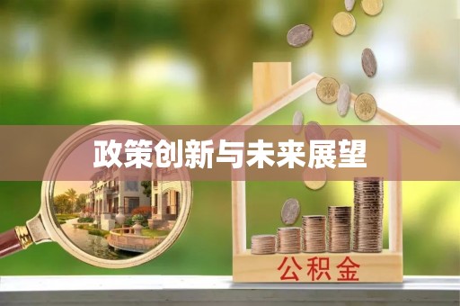东湖政策创新与未来展望