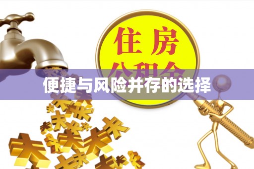 东湖便捷与风险并存的选择