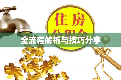 东湖全流程解析与技巧分享