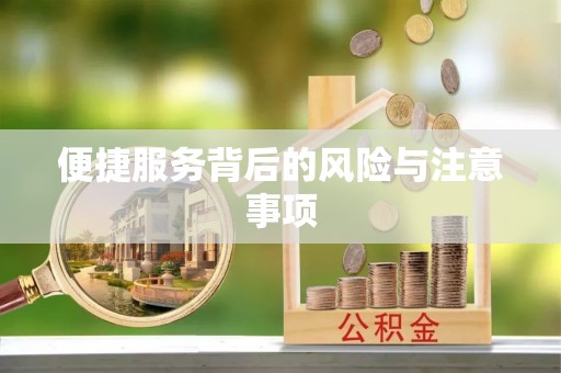 东湖便捷服务背后的风险与注意事项