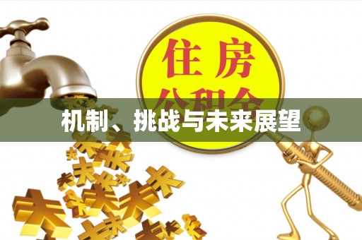 东湖机制、挑战与未来展望